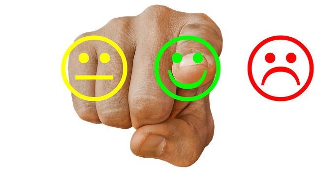 ניהול מוניטין עשה זאת בעצמך